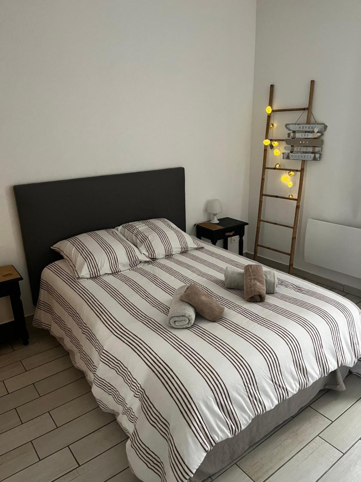 Joli Appartement Hypercentre T2, Classe Meuble De Tourisme 3 Avec Parking Gratuit Béziers Kültér fotó