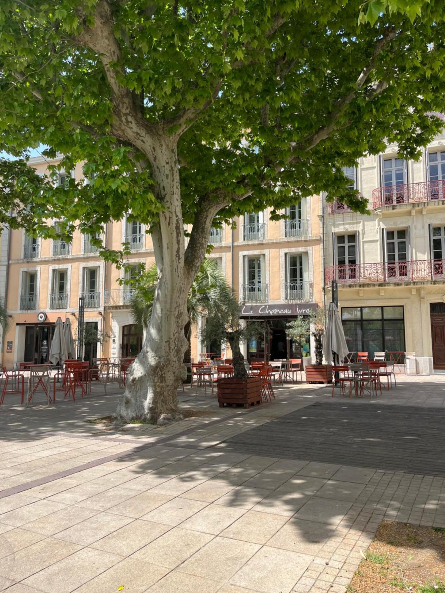 Joli Appartement Hypercentre T2, Classe Meuble De Tourisme 3 Avec Parking Gratuit Béziers Kültér fotó
